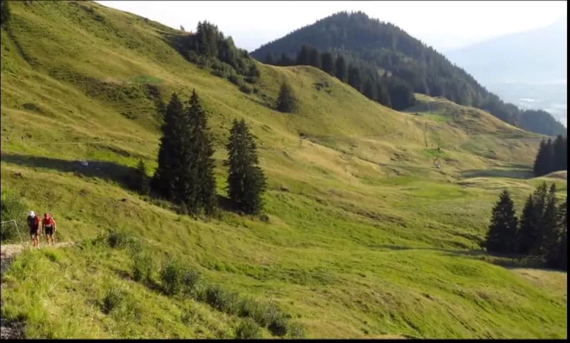 Allgäu Panorama Marathon — Ofterschwang (09780), 7. August 2027 · Trail