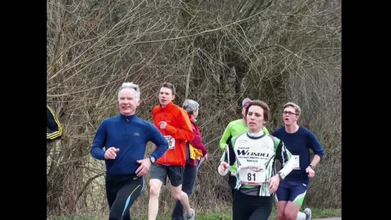 Bienwald-Marathon — Kandel (07334), 14. März 2027 · Laufen