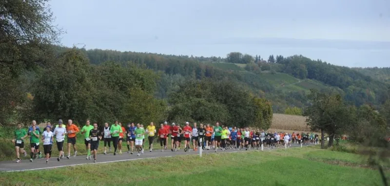 Bottwartal Marathon — Marbach am neckar (08118), 17. Oktober 2026 · Course à pied