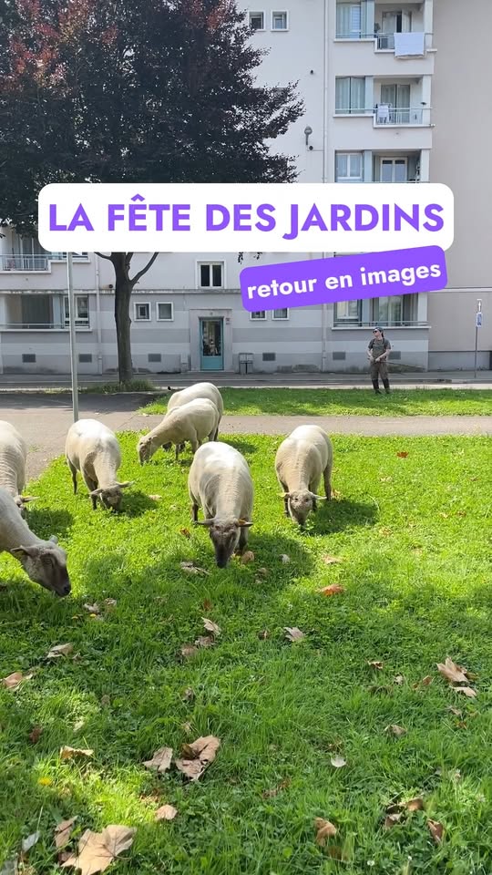 Course nature et patrimoine 2026 - St sernin les lavaur 2026 - photo 9