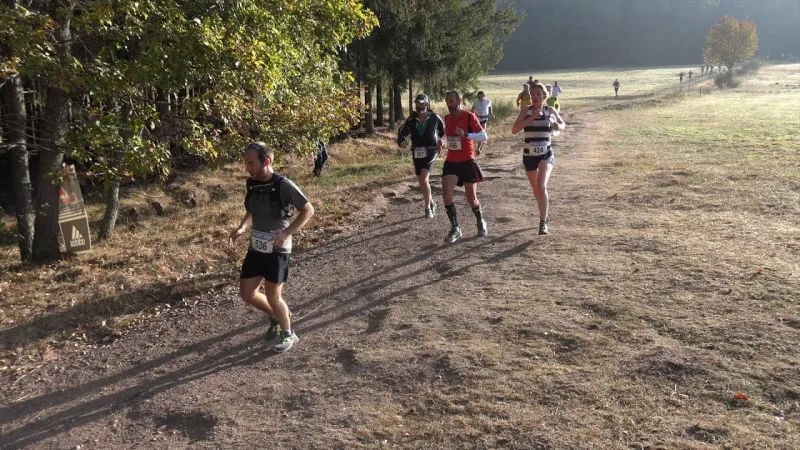 Courses des Châteaux d'Ottrott — Ottrott (67), 18 octobre 2026 · Trail