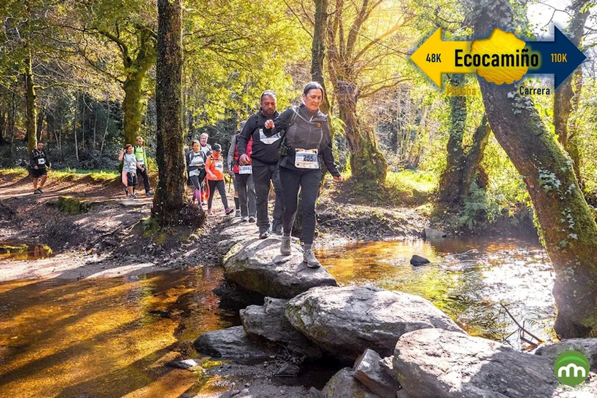 Desafío Internacional Ecocamiño 50K - On the Way of St. James