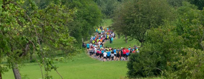 Ermstal-Marathon — Metzingen (08415), 11. Juli 2027 · Course à pied