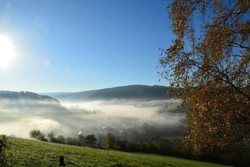 FALKE Rothaarsteig Marathon — Schmallenberg (05958), 17. Oktober 2026 · Trail