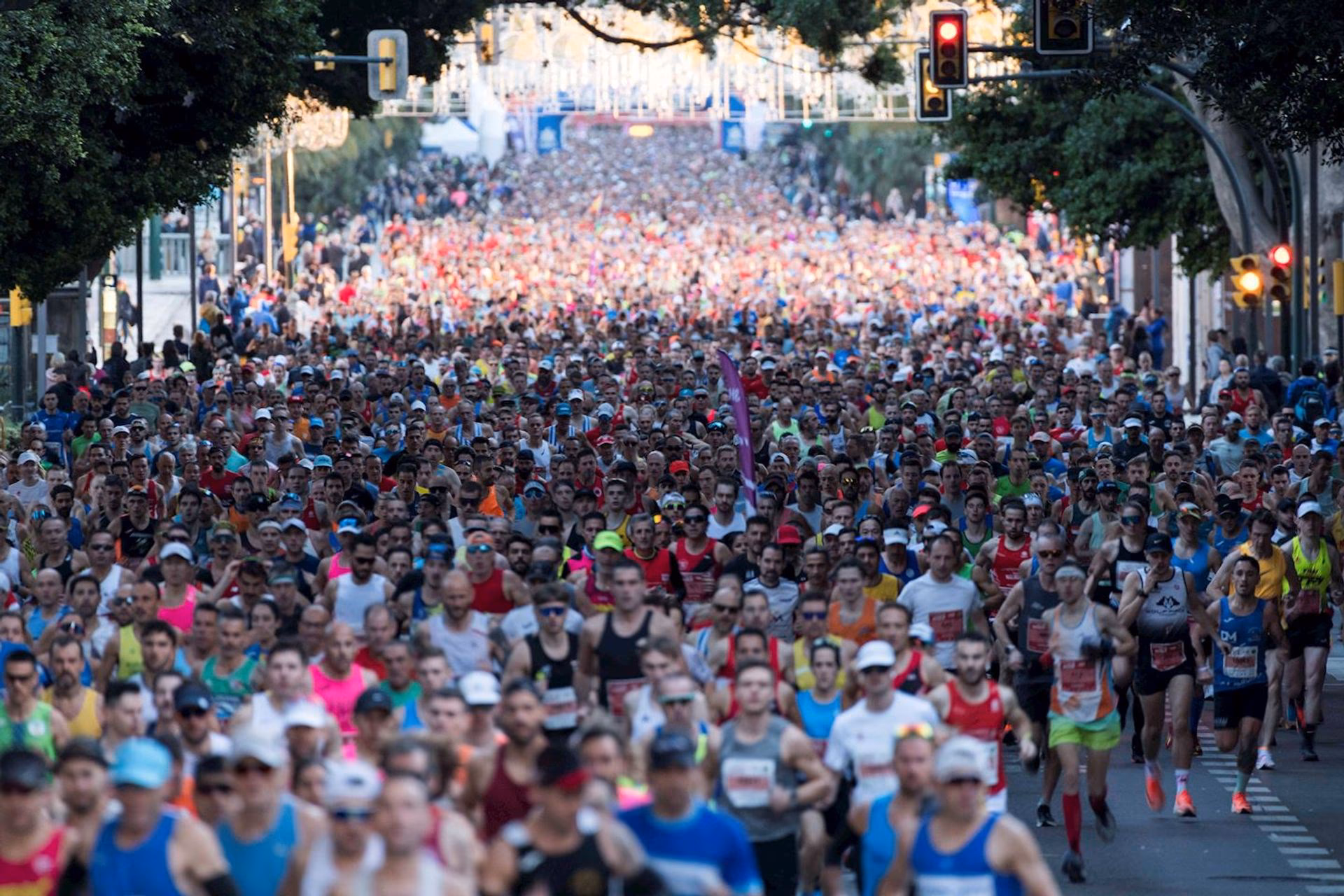 Generali Maratón Málaga — Malaga (MA), 7 de noviembre de 2026 · Correr