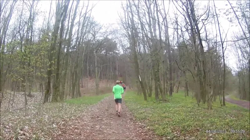 Kyffhäuser-Berglauf 11 km — Bad frankenhausen/kyffhauser (16065), 10. April 2027 · Trail