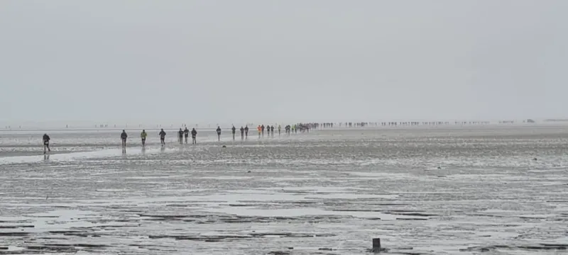 Le Trail des bouchots de la baie du Mont Saint-Michel 2026 — Baguer pican (35), 26 septembre 2026 · Trail