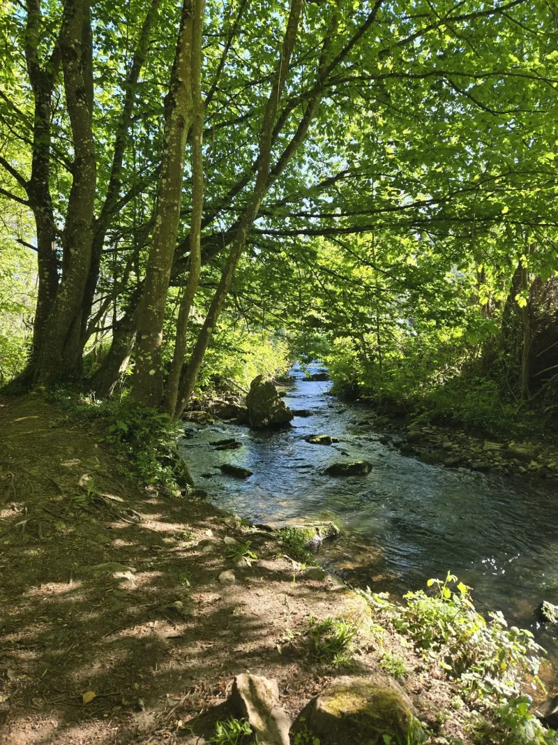 Les 12èmes Foulées de la Brèche au Diable - Potigny 2026 - photo 1