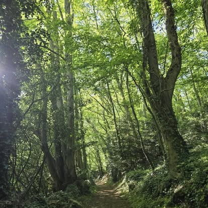 Les 12èmes Foulées de la Brèche au Diable - Potigny 2026 - photo 3