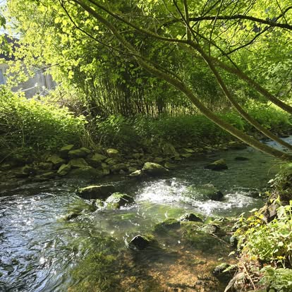 Les 12èmes Foulées de la Brèche au Diable - Potigny 2026 - photo 4