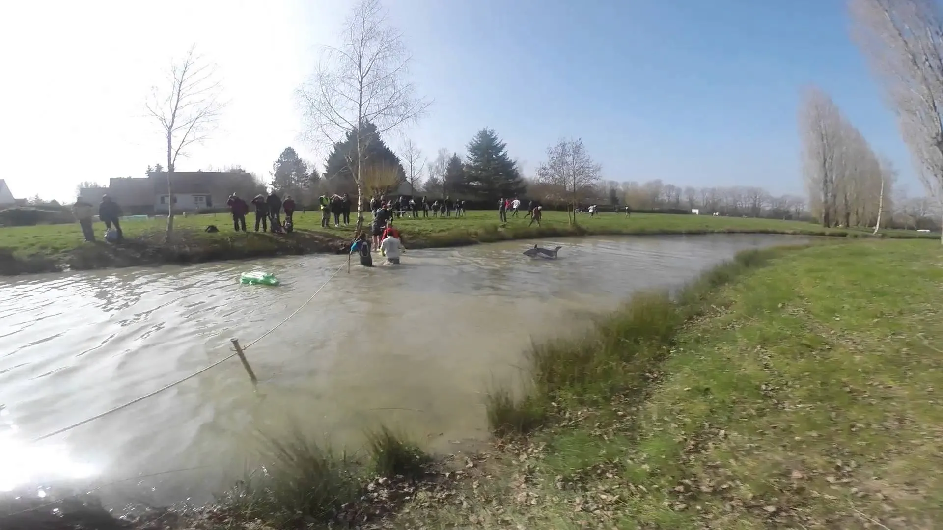 Les Pétal'Ard by Raidlight