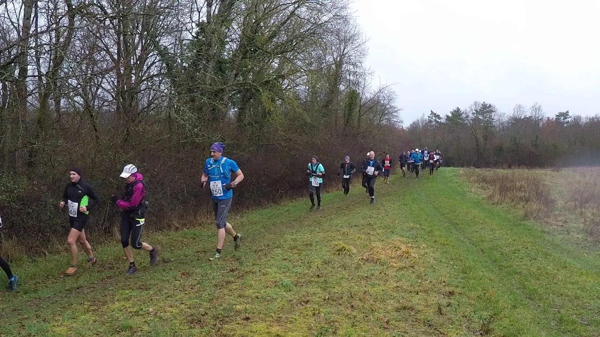 Muco Trail du Pays de Nemours