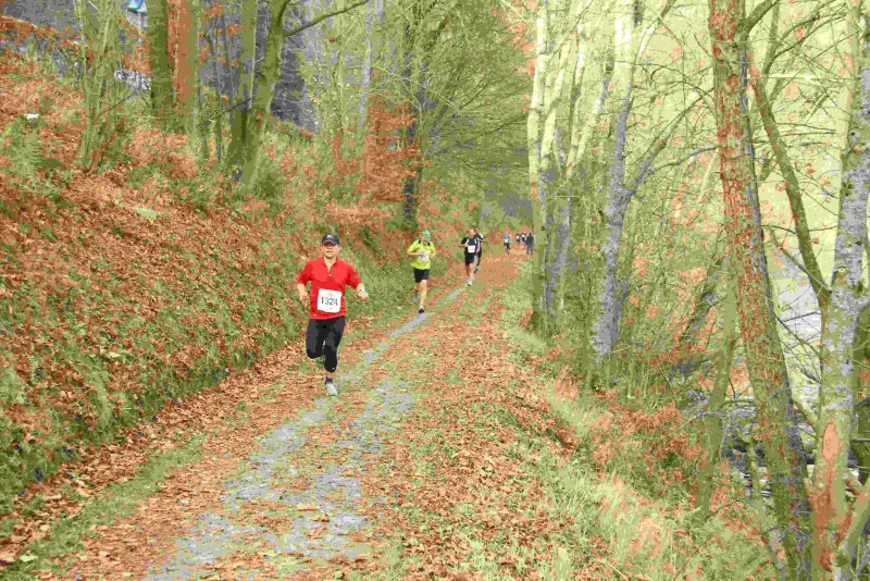 Rursee Marathon — Simmerath (05334), 7. November 2026 · Course à pied