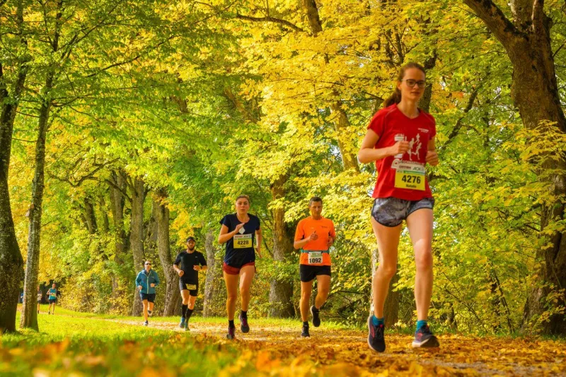 Schwarzwald-Marathon — Braunlingen (08326), 10. Oktober 2026 · Course à pied