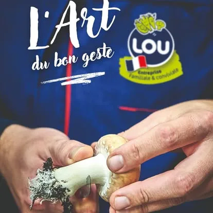Semi-marathon La LOU 2026 - Monthault 2026 - photo 8