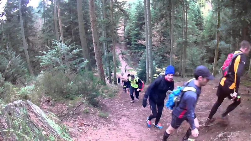 Trail des Brosses — Vaudeville (88), 7 novembre 2026 · Trail