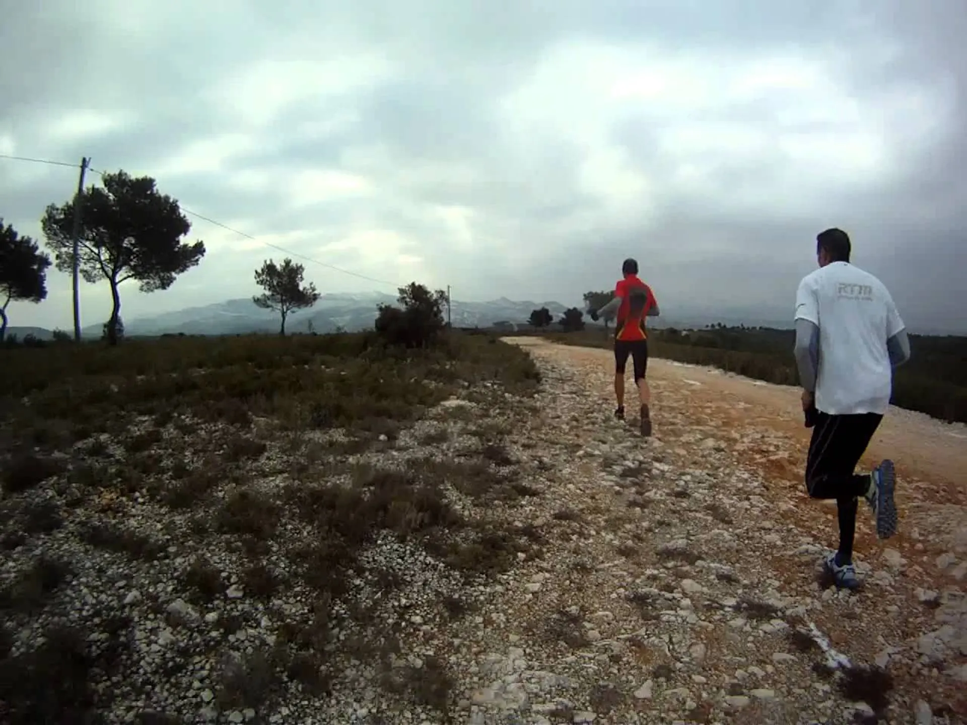 Trail du Canton Vert