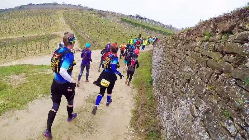 Trail du Petit Ballon — Munwiller (68), 14 mars 2027 · Trail
