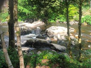 Trail Locunolois — Riec sur belon (29), 26 juillet 2026 · Trail