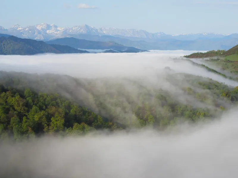 Trail Valle de Samuño — Valles, Los (Langreo) (O), 17 de abril de 2027 · Trail
