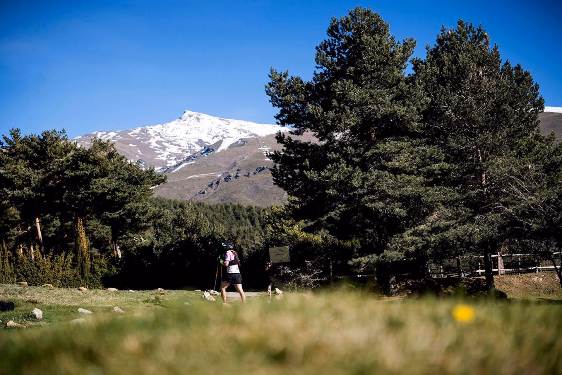 UNICAJA Ultra Sierra Nevada