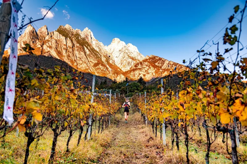 Valle dei Segni Wine Trail - Darfo boario terme 2026 - foto 2