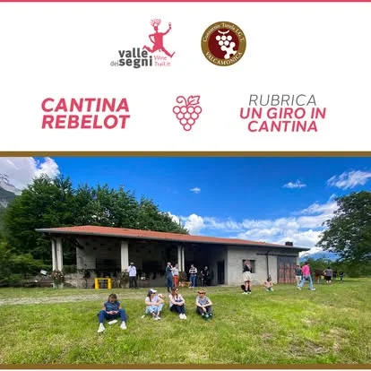 Valle dei Segni Wine Trail - Darfo boario terme 2026 - foto 3