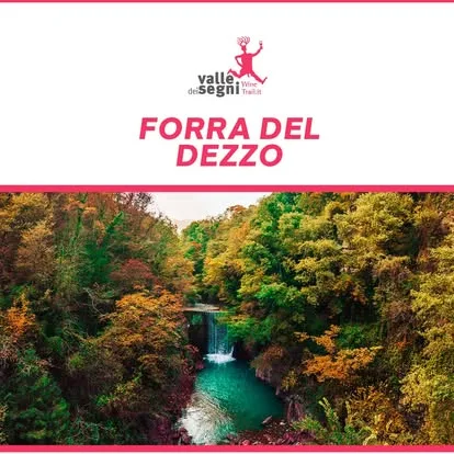 Valle dei Segni Wine Trail - Darfo boario terme 2026 - foto 4